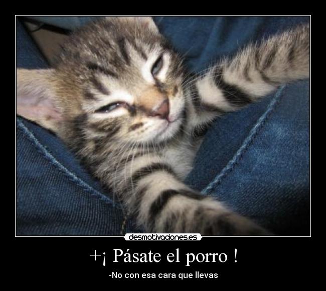 +¡ Pásate el porro ! -