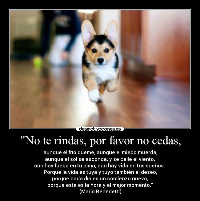 No te rindas, por favor no cedas, - 