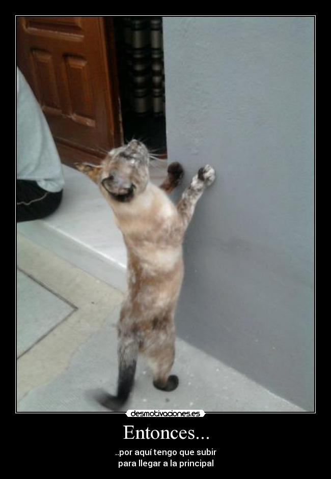 Entonces... - ..por aquí tengo que subir
para llegar a la principal