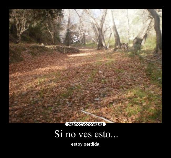Si no ves esto... - 