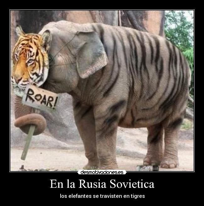 En la Rusia Sovietica - los elefantes se travisten en tigres