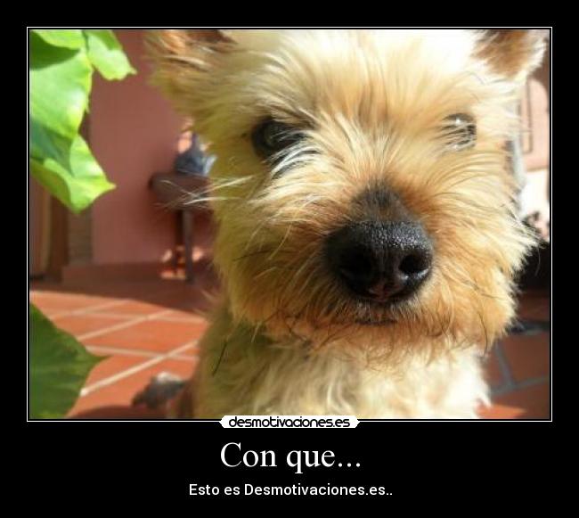 Con que... - Esto es Desmotivaciones.es..