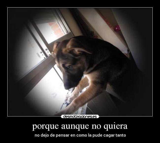 porque aunque no quiera - 
