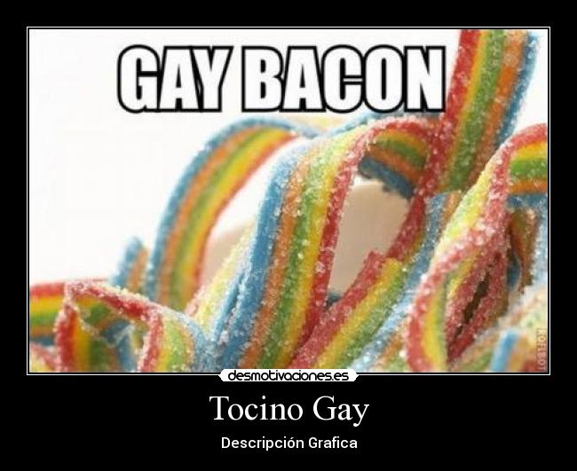 Tocino Gay - Descripción Grafica