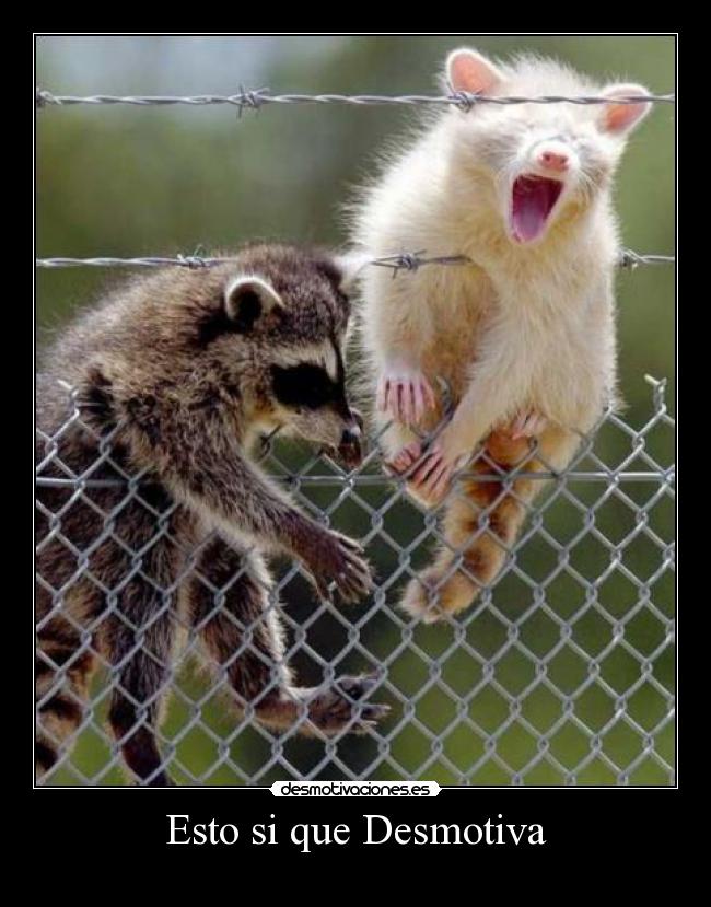Esto si que Desmotiva -