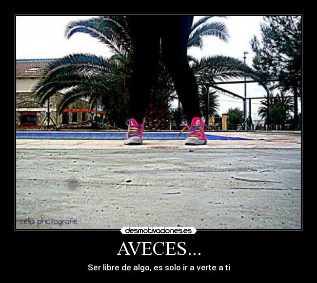 AVECES... -