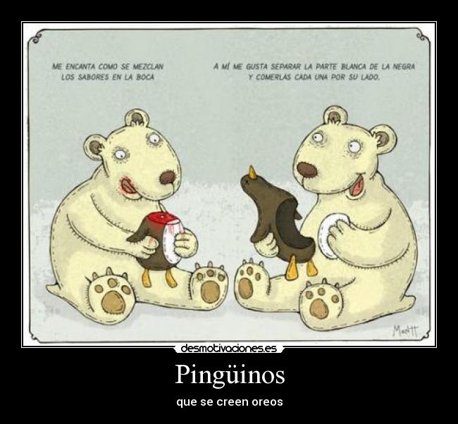 Pingüinos -