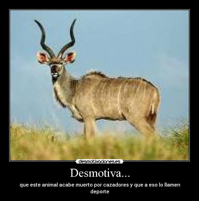 Desmotiva... - que este animal acabe muerto por cazadores y que a eso lo llamen deporte