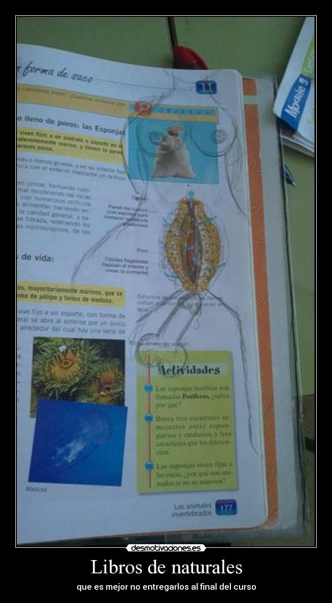 Libros de naturales - 