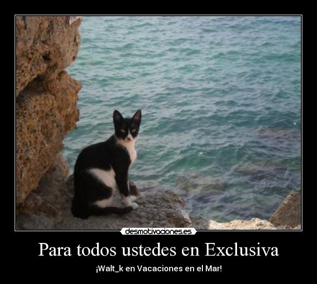 Para todos ustedes en Exclusiva - ¡Walt_k en Vacaciones en el Mar!
