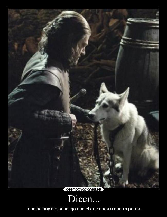 Dicen... - ...que no hay mejor amigo que el que anda a cuatro patas...