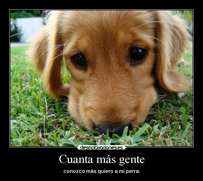 Cuanta más gente - conozco más quiero a mi perra.