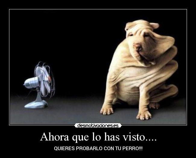 Ahora que lo has visto.... - QUIERES PROBARLO CON TU PERRO!!!