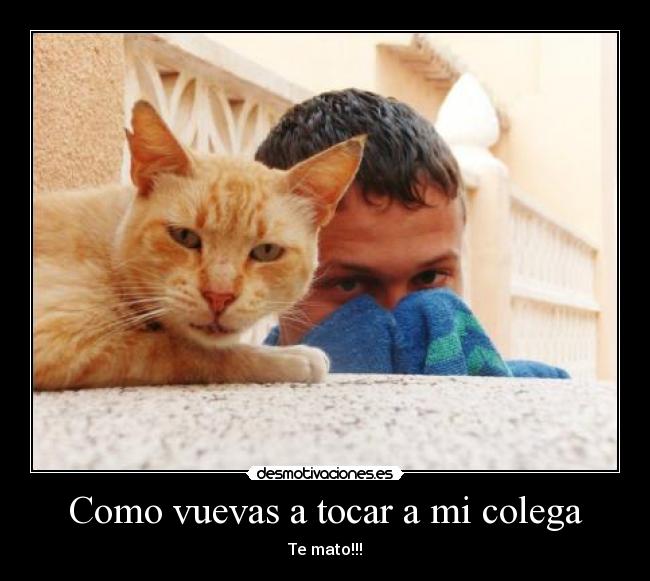 Como vuevas a tocar a mi colega -