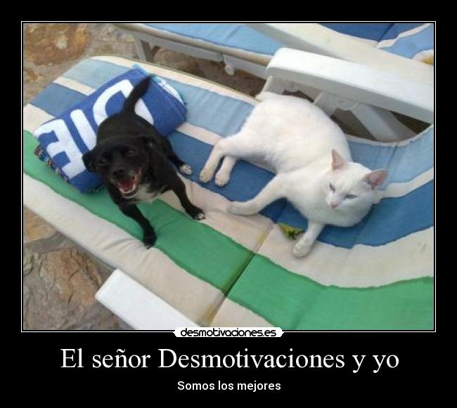 El señor Desmotivaciones y yo - 
