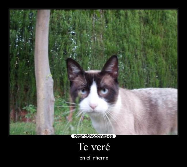 Te veré - en el infierno
