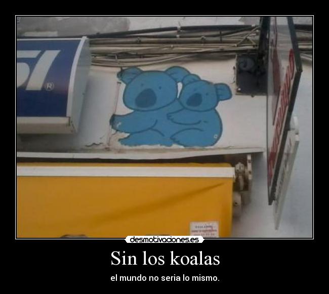 Sin los koalas - el mundo no seria lo mismo.