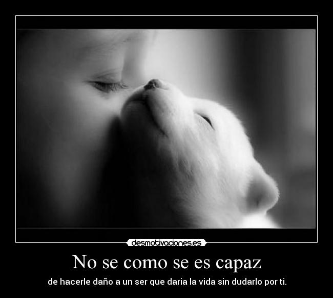 No se como se es capaz - de hacerle daño a un ser que daria la vida sin dudarlo por ti.