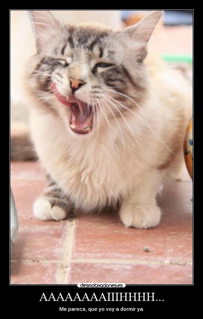 AAAAAAAAIIIHHHH... -