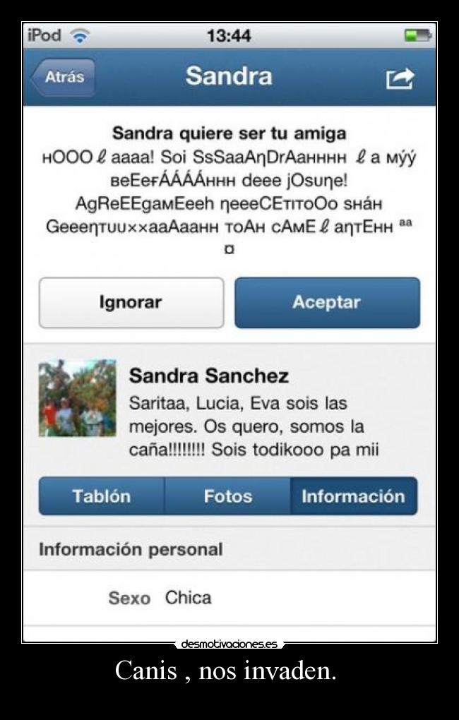 Canis , nos invaden. -