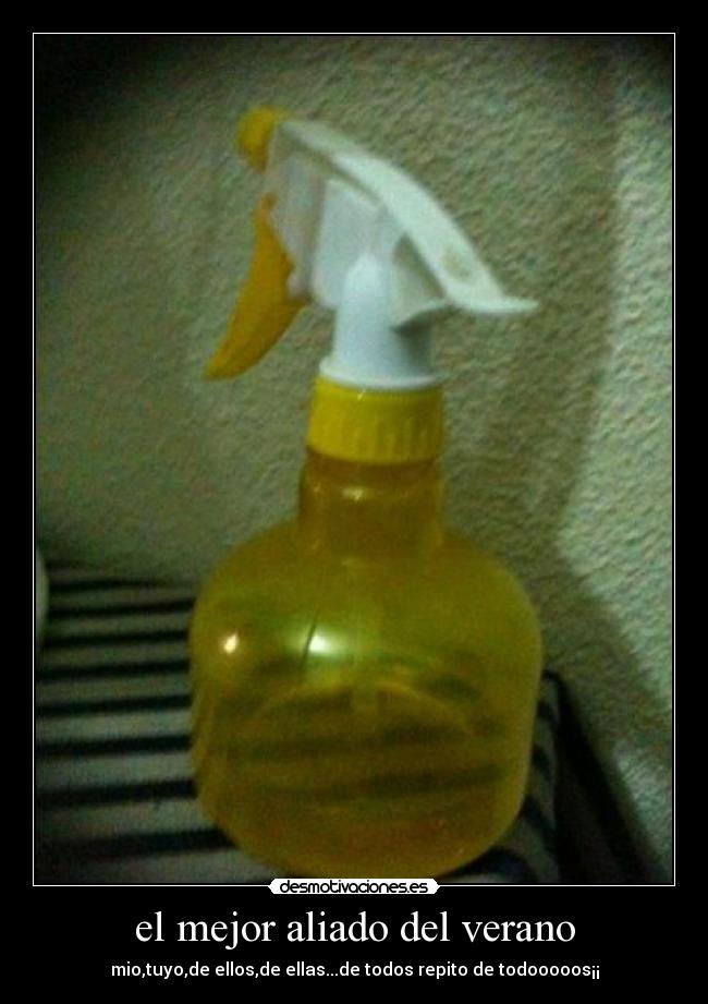 el mejor aliado del verano -