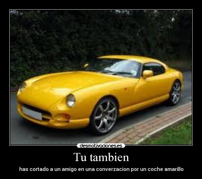 Tu tambien -