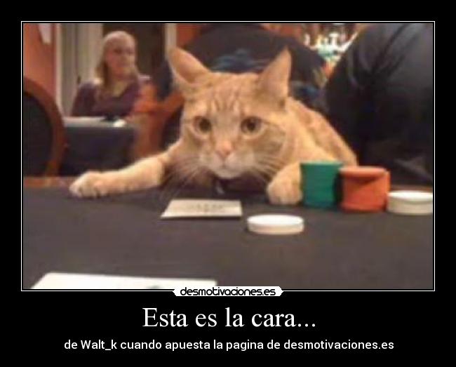 Esta es la cara... - de Walt_k cuando apuesta la pagina de desmotivaciones.es