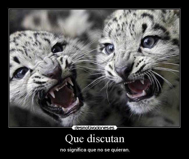 Que discutan - 