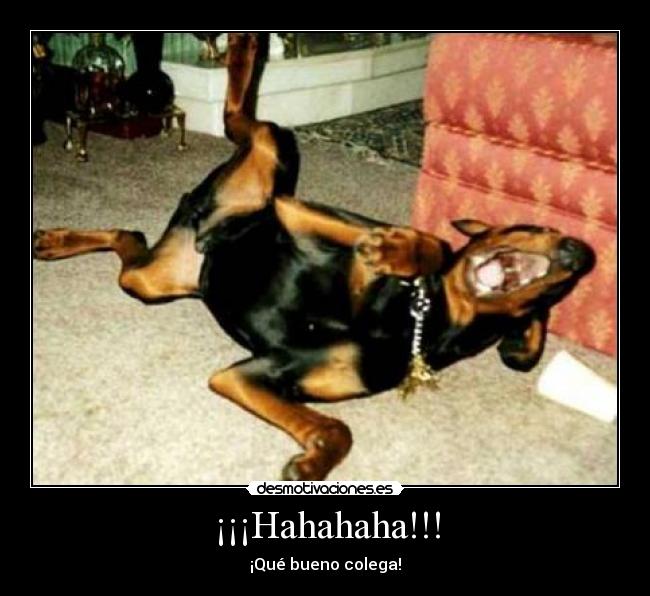 ¡¡¡Hahahaha!!! - 