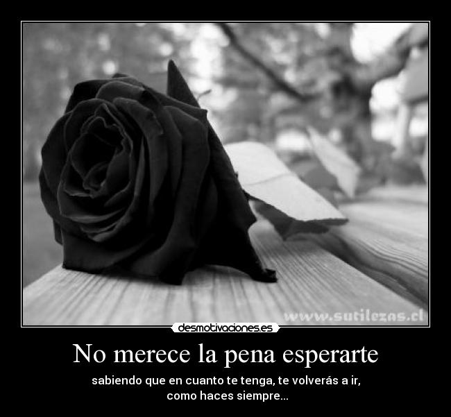 No merece la pena esperarte - 