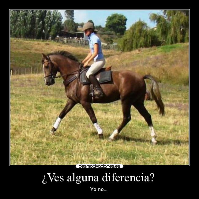 ¿Ves alguna diferencia?  - Yo no... 