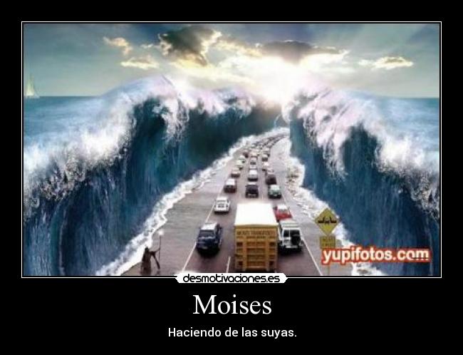 carteles yeah desmotivaciones