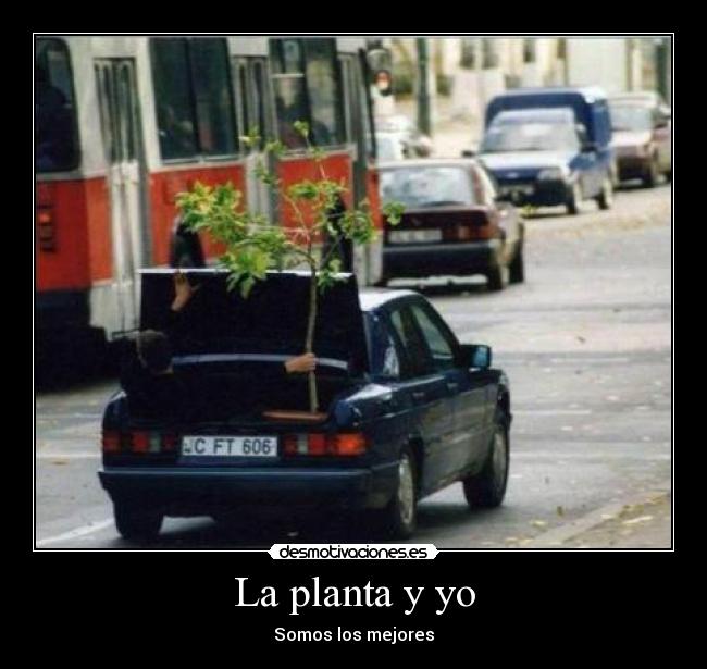 La planta y yo -