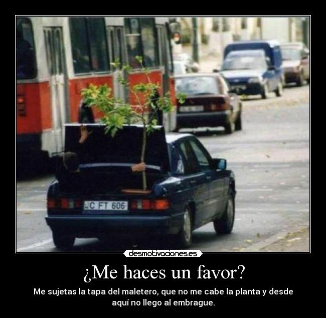 ¿Me haces un favor? - Me sujetas la tapa del maletero, que no me cabe la planta y desde
aquí no llego al embrague.