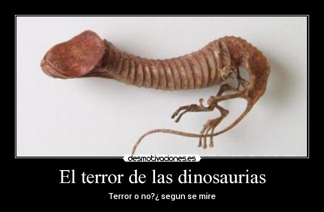 El terror de las dinosaurias - 