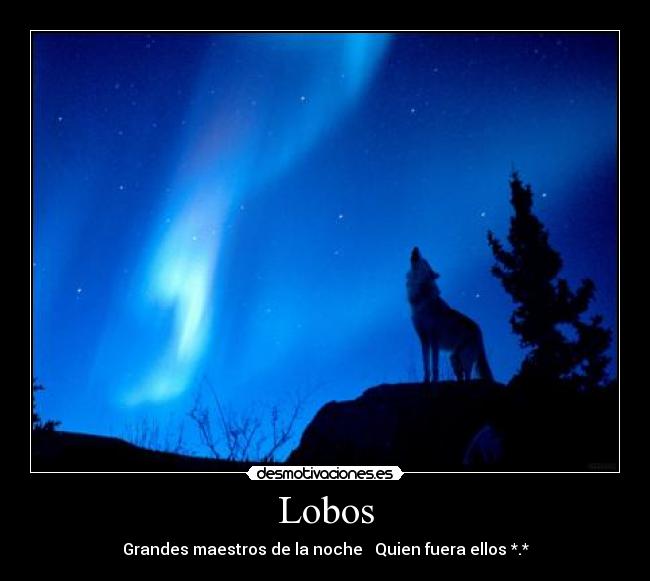 Lobos - 