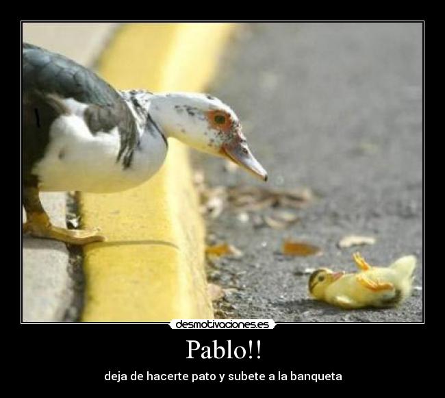 Pablo!! - deja de hacerte pato y subete a la banqueta