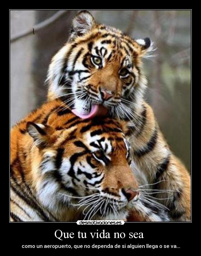 Que tu vida no sea  - 