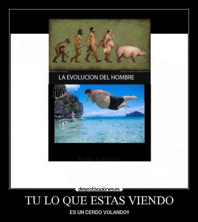 TU LO QUE ESTAS VIENDO -