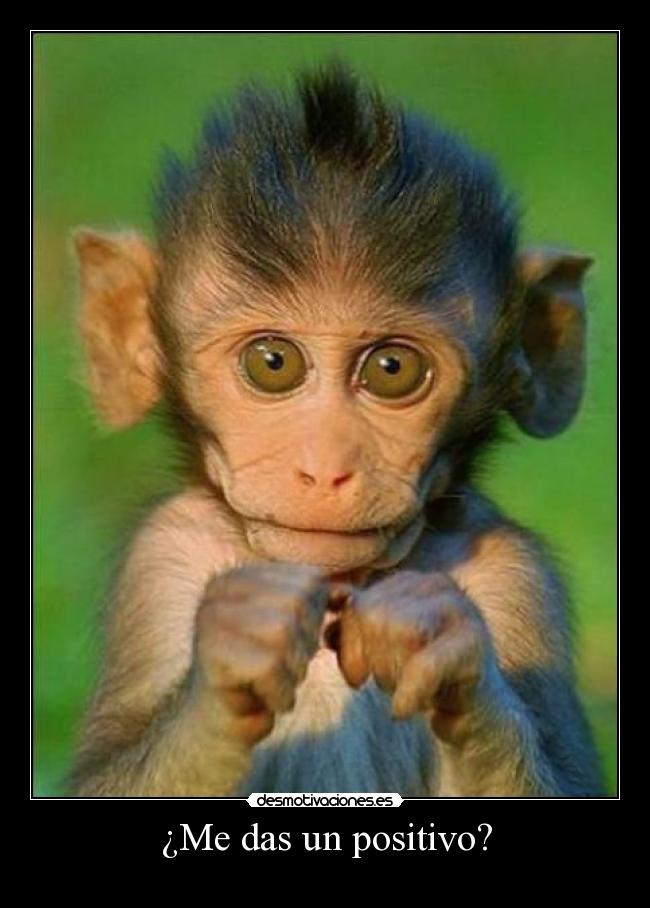 ¿Me das un positivo? - 