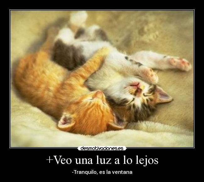 +Veo una luz a lo lejos - 