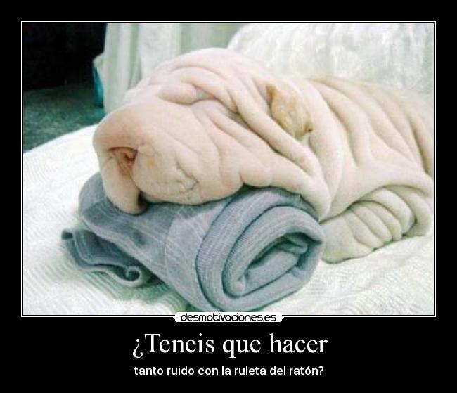 ¿Teneis que hacer - tanto ruido con la ruleta del ratón?