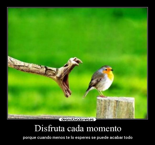Disfruta cada momento -