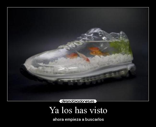 Ya los has visto - ahora empieza a buscarlos