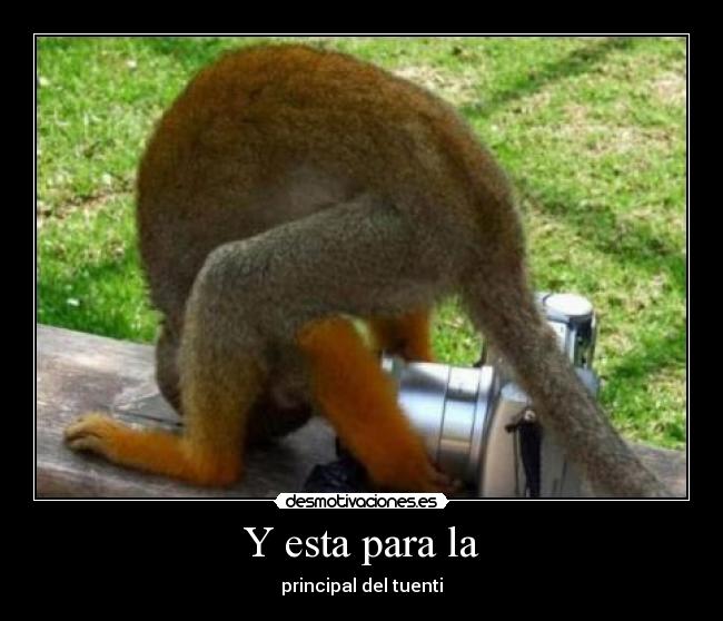 Y esta para la - principal del tuenti