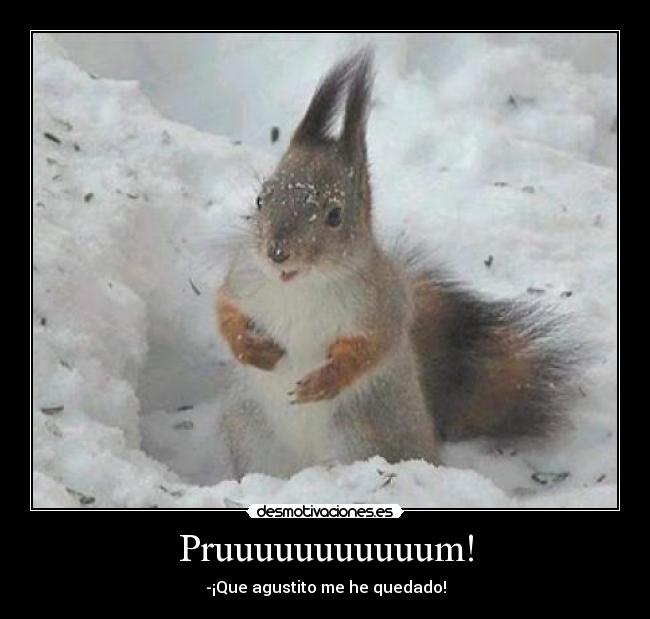 Pruuuuuuuuuuum! - -¡Que agustito me he quedado!