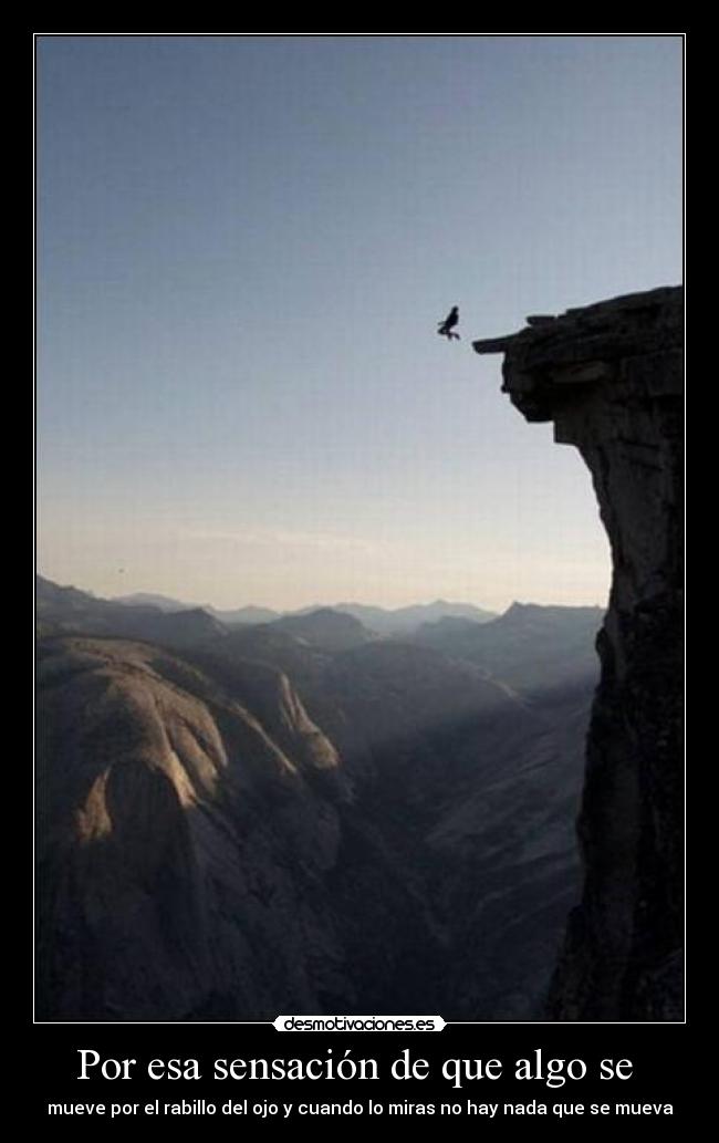 Por esa sensación de que algo se - mueve por el rabillo del ojo y cuando lo miras no hay nada que se mueva