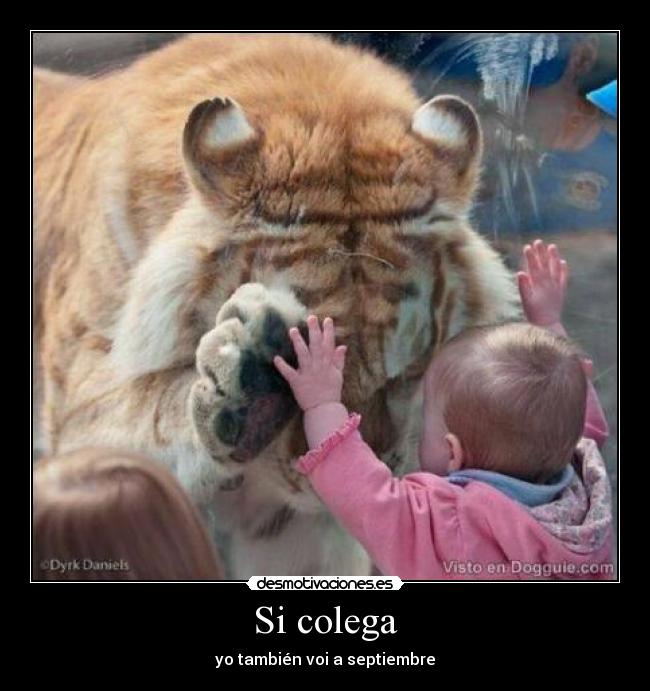 Si colega - yo también voi a septiembre