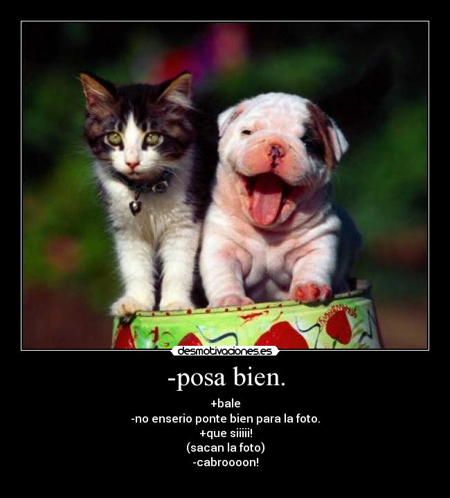 carteles walt_k desmotivaciones