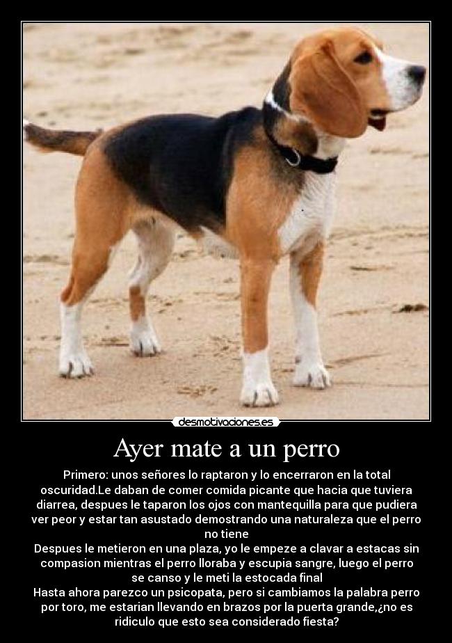 Ayer mate a un perro -